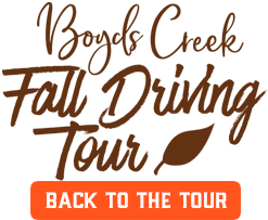 Back to the tour button